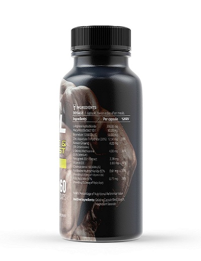 PZIRE-Ladies Unique Wyne Vest-product